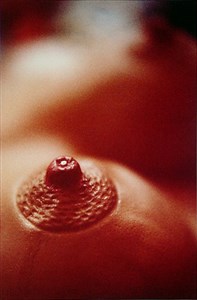 Image description is not available for 1996.021